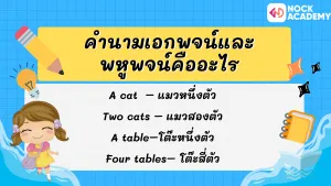 ป.5 การใช้ V. to be กับคำนามเอกพจน์ และพหูพจน์ (5)