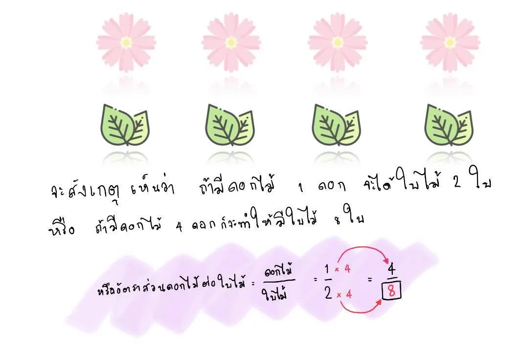 หลักการอัตราส่วน