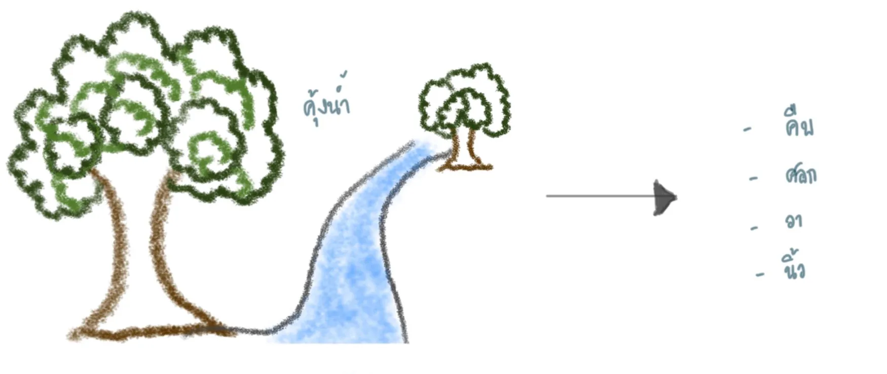 ความเป็นมาของการวัด