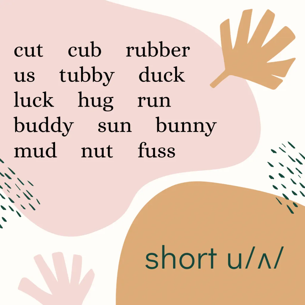 short u /ʌ/