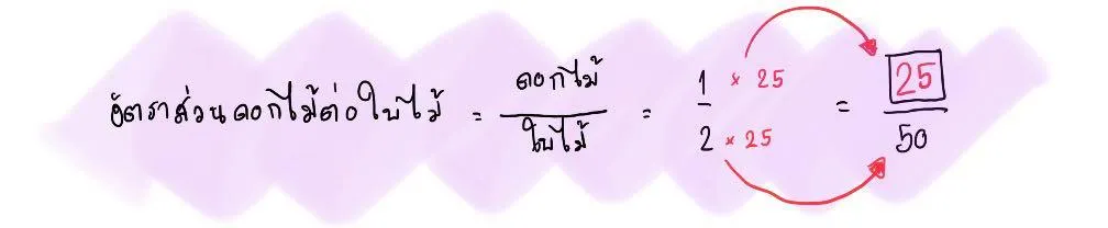อัตราส่วนในรูปเศษส่วน