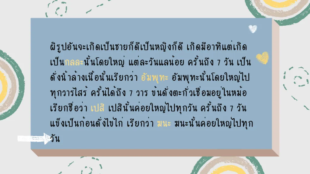 มนุสสภูมิ