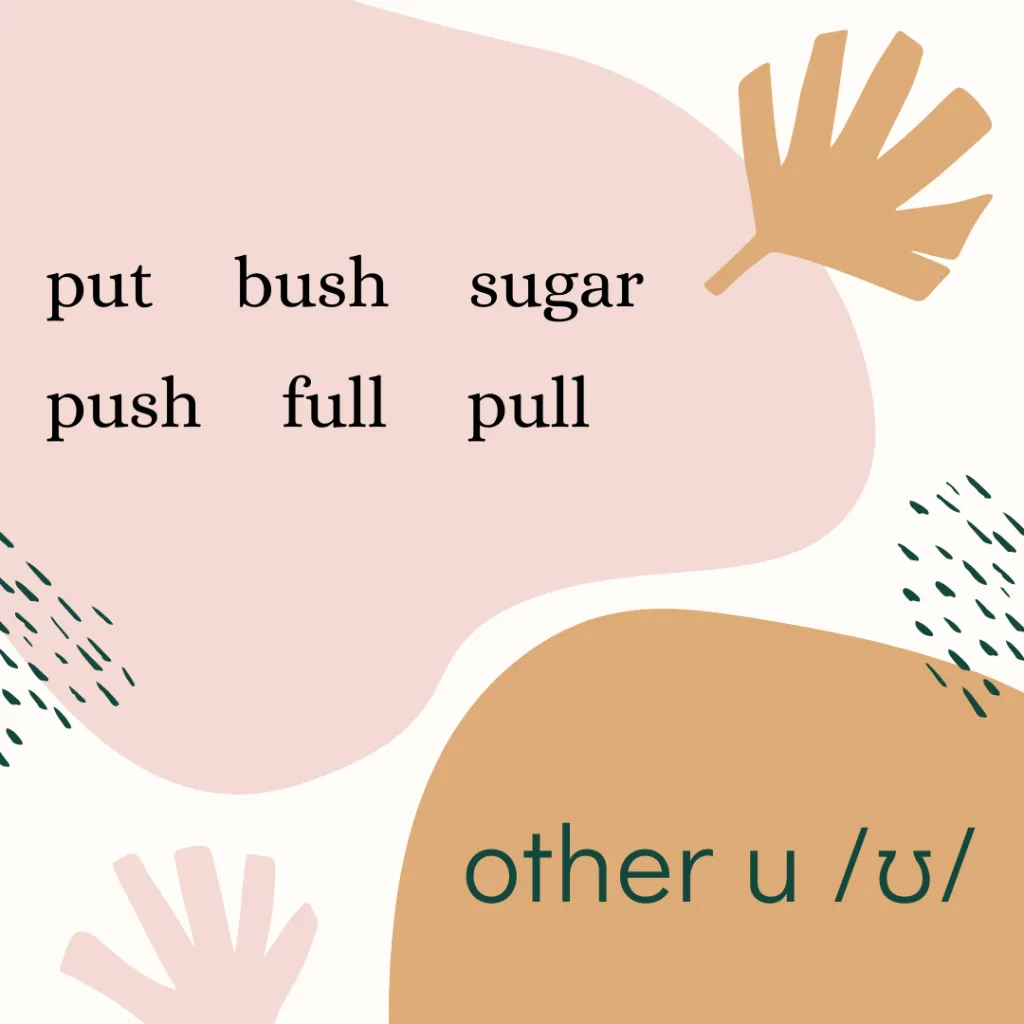 other u /ʊ/