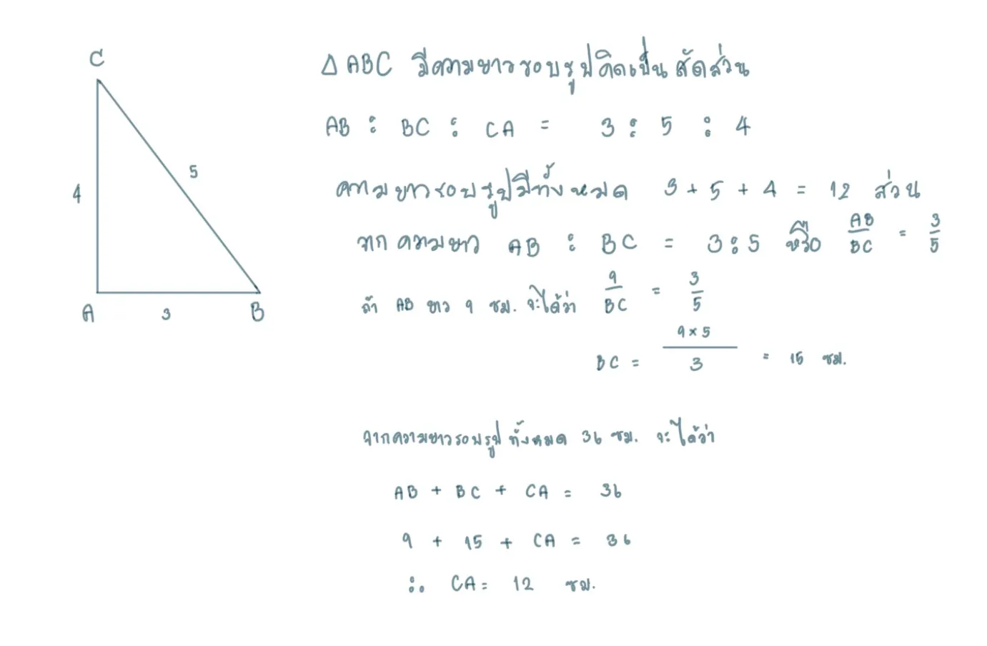 สัดส่วนรูปสามเหลี่ยม