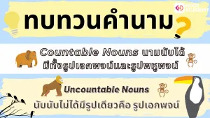 Nouns_Articles