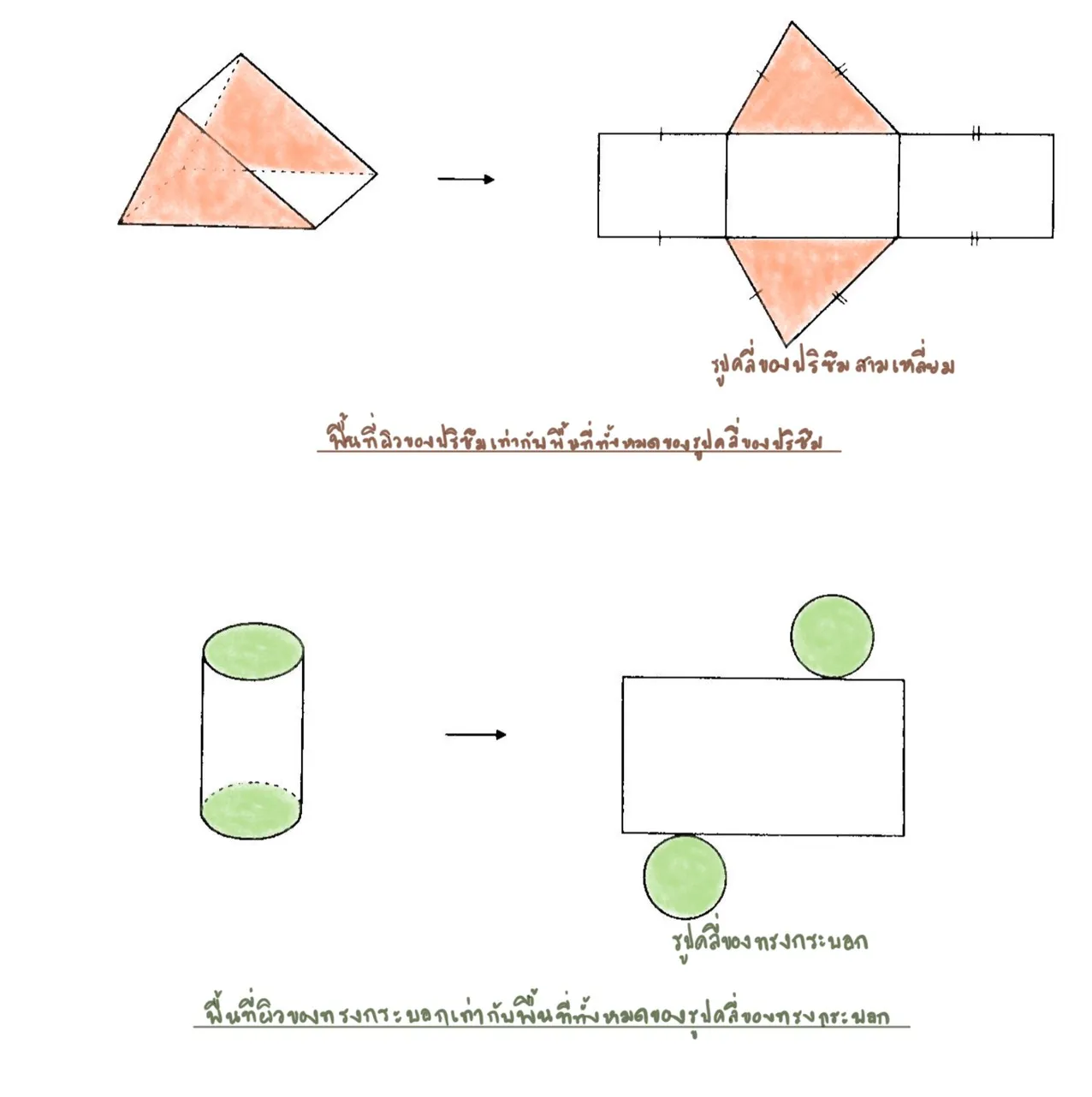 พื้นที่หน้าตัด