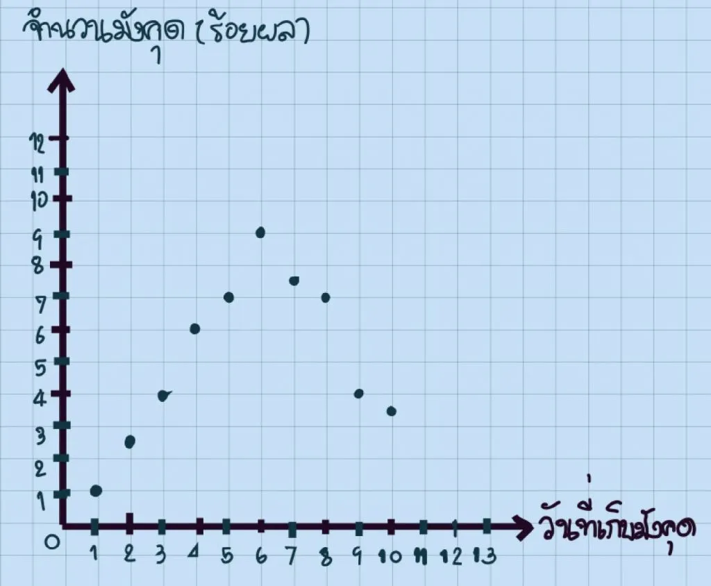 กราฟของคู่อันดับ 5