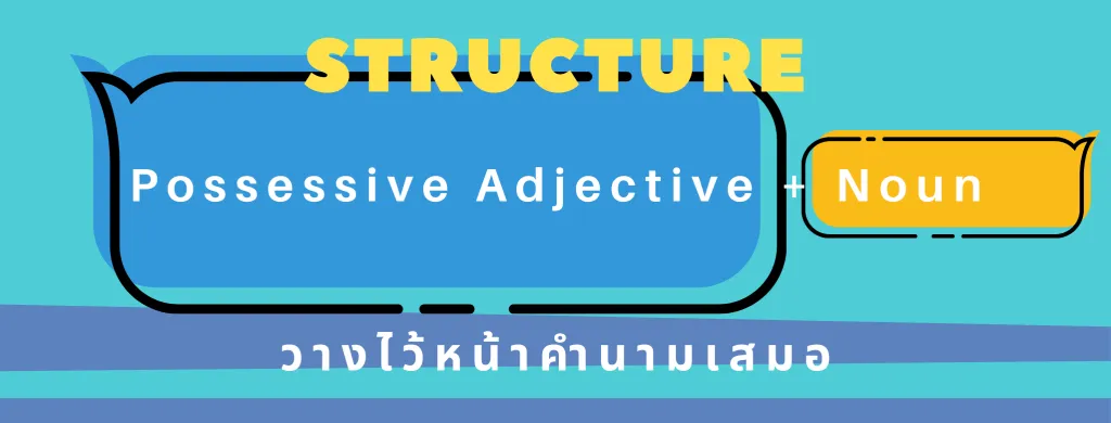 possessive adjective
