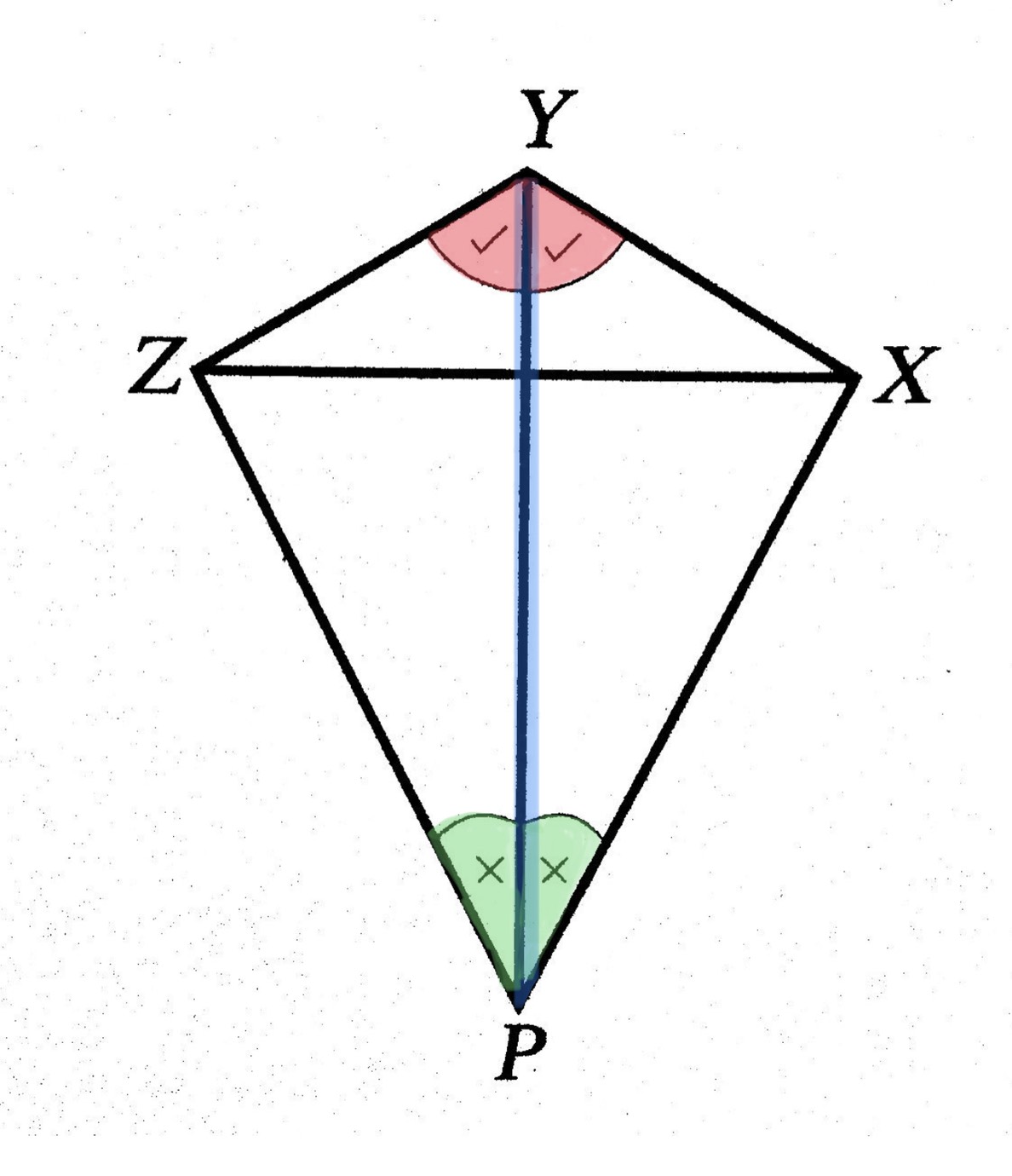 สามเหลี่ยมที่เท่ากันทุกประการแบบ มุม-ด้าน-มุม