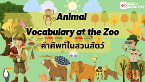 NokAcademy_ทบทวนการใช้ V. to be, V. to do และ Question words ร่วมกับคำศัพท์ในสวนสัตว์ (6)