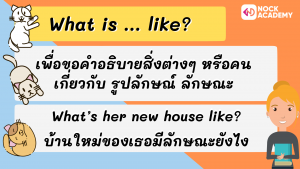 M2 V. to be + ร่วมกับ Who_ What_Where + -Like + infinitive (9)